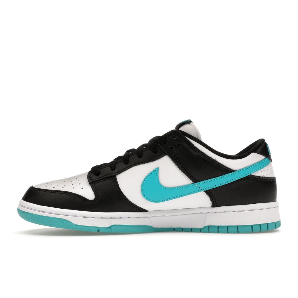 Nike Dunk Low Black Dusty Cactus Unisex Sneakers White DV0833-109
