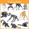 Realistic Pvc Primate Animal Model Set Featuring Miniature Long-nosed Monkeys And Gibbons
