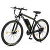 Touroll U1 EU Plug High-Step 29in 3613Ah 250W E-Bike