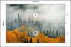 Photomural Fog Over Autumn Forest Structural Vinyl 254x184