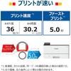 Canon A4 Monochrome Laser Beam Printer Satera LBP241