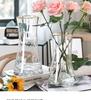 Gold-Painted Transparent Glass Vase for Fresh or Dried Flowers - Nordic Style Flower Arrangement Ornament