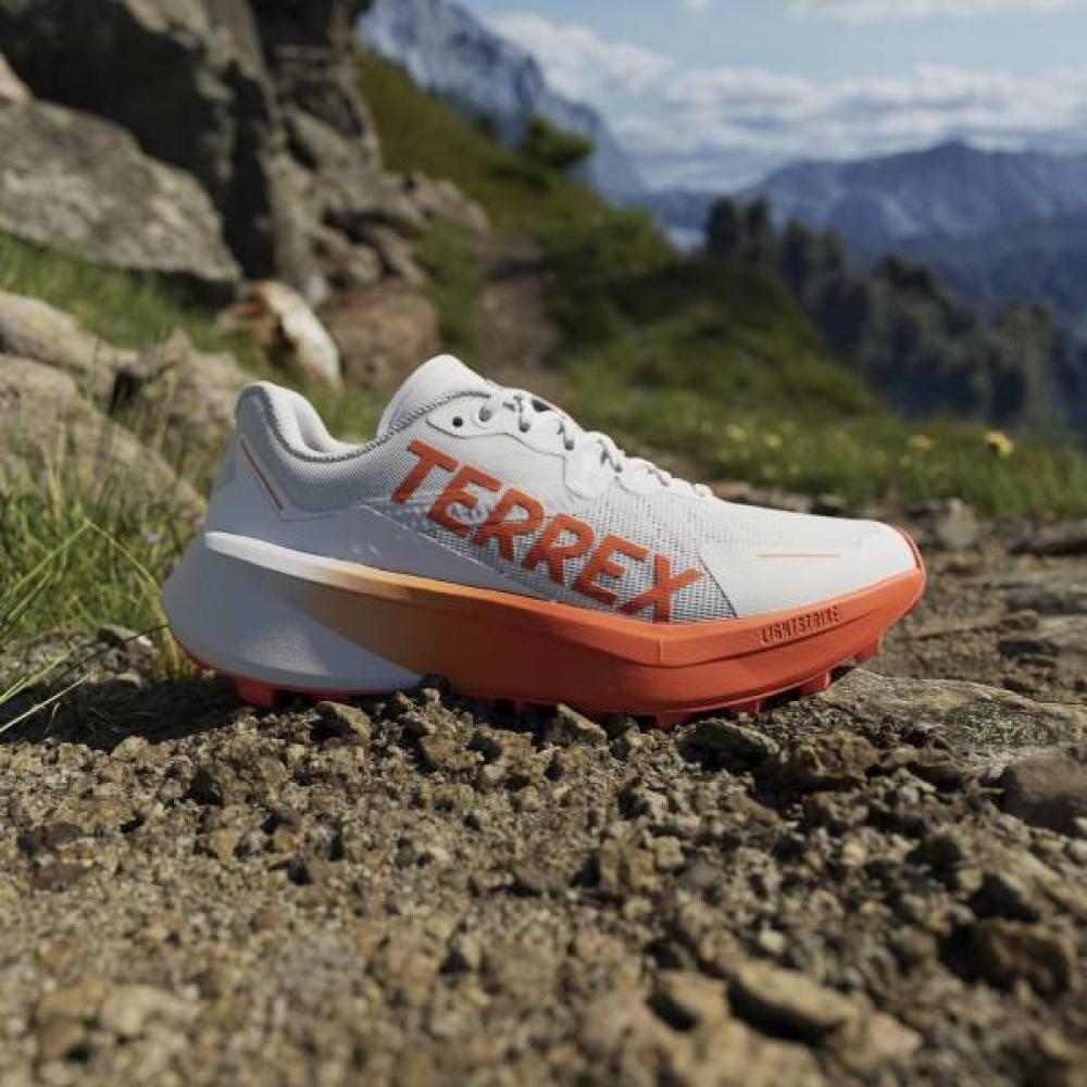 

AdidaS Women S Terrex Agravic 3 Trail Running 250