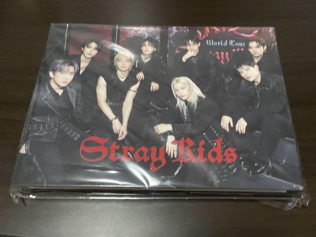 [USED] Stray Kids dominATE Trading Card Case