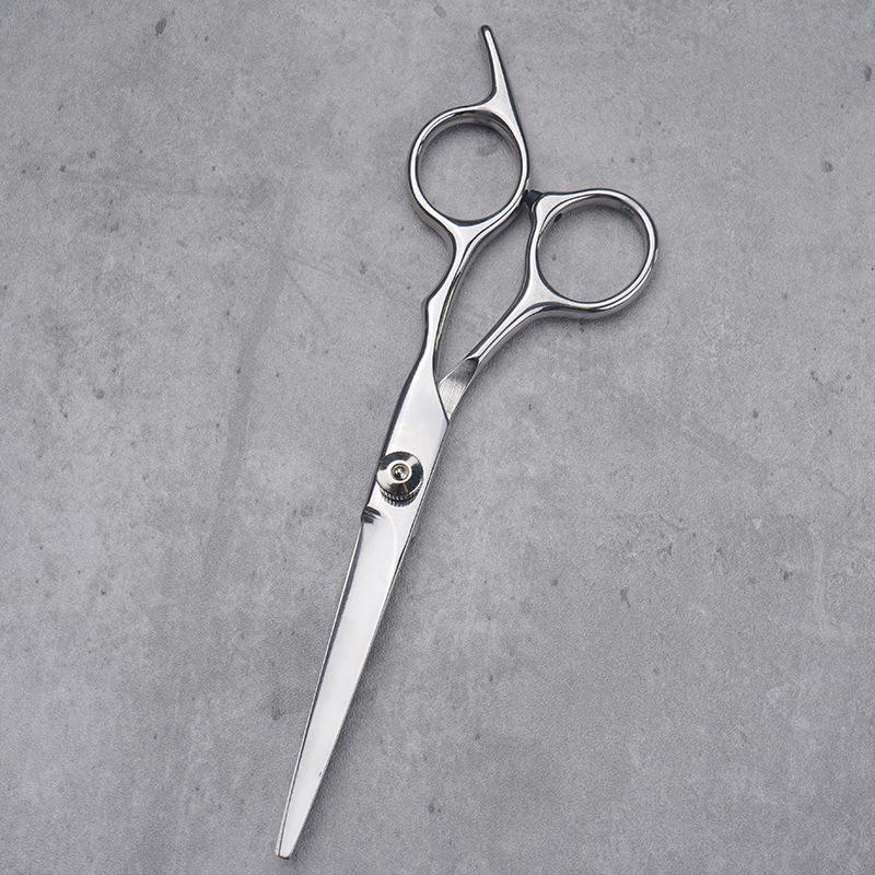 Stainless Steel Barber & Hairdressing Scissors Set: Flat Tooth & Thinning Options