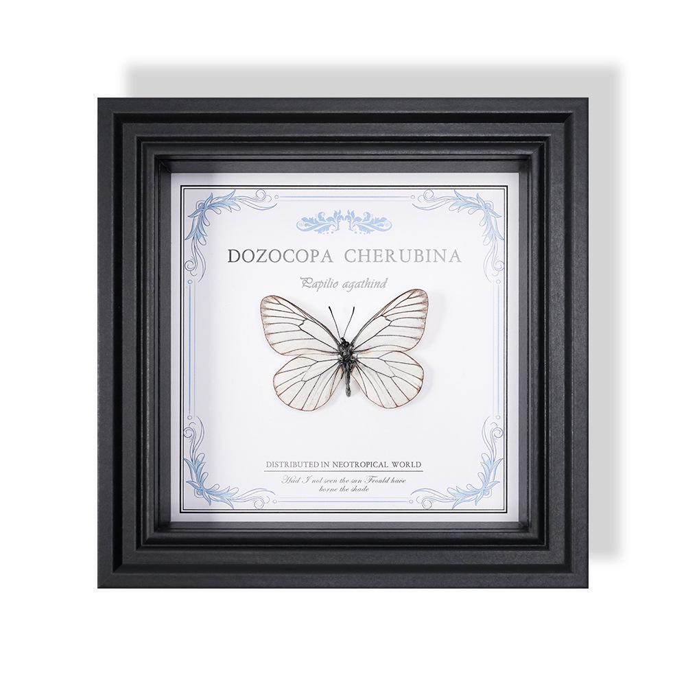 Wall-Mounted Butterfly Specimen Photo Frame: Home Decor & Gift for Valentine's Day, Qixi, Birthday, Couples & Insect Lovers