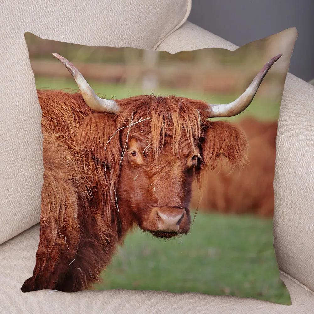 Scotland Kyloe Pillow Case Decor Wild Cow Colorful Animal Print Pillowcase Soft Short Plush Cushion Cover for Home Sofa 45x45cm