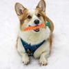 Cotton Rope Weaving Carrot Pet Toy for Puppies - Durable Wear & Bite Resistance Boredom Relief Dog Toy