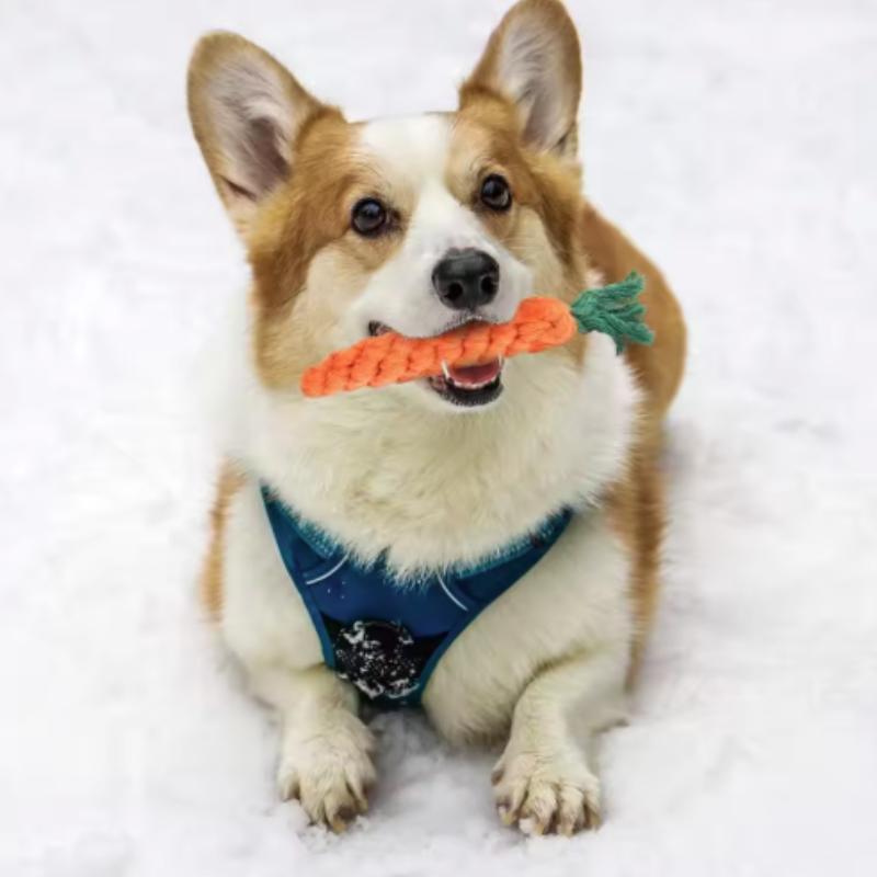Cotton Rope Weaving Carrot Pet Toy for Puppies - Durable Wear & Bite Resistance Boredom Relief Dog Toy