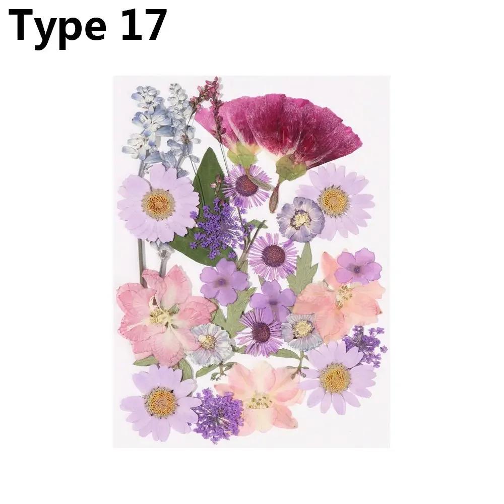 Dried Flowers UV Resin Decorative Natural Flower Stickers 3D Pressed Dried Flowers Beauty Decal Nail Art Epoxy Mold Filling