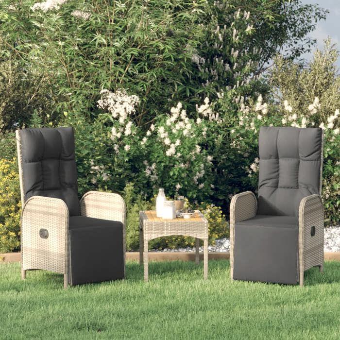 VidaXL Chaises inclinables de jardin 2pcs et table gris résine tressée 319909
