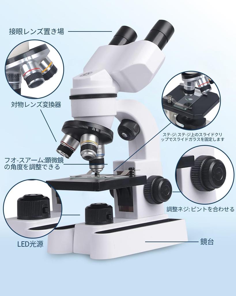 Microscope Suitable for Elementary School and Junior High and High School Popular for Independent Research and Adult Includes Japanese 40X-3200X,