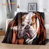 Cartoon French Pit Bull Dog Pet Soft Plush Blanket,Flannel Blanket Throw Blanket for Living Room Bedroom Bed Sofa Picnic Cover