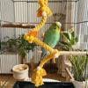 Bite Resistant Bird Climbing Rope Hanging Parrot Standing Perch  Cage Accessories