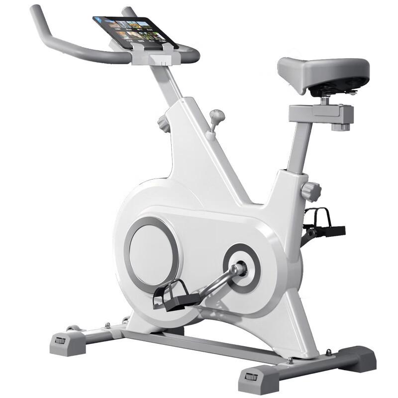Xinjingzhou Smart Home Spin Bike CN plug (adapter included)