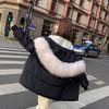 Women's short cotton-padded clothes, winter new hooded small cotton-padded jackets, women's loose down cotton-padded clothes