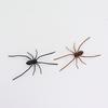 2026 New Spider Fridge Magnets, Realistic 3D Halloween Home Decor, Set of Funny Fridge Stickers for Kitchen Office