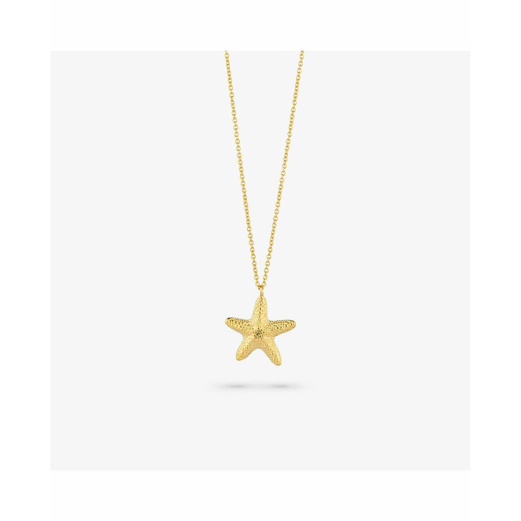 Ladies' Necklace Radiant RY000140 45 Cm