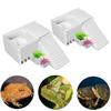 Turtle Resting Platform for Semi Aquatic Animals Bearded Dragon Tortoises