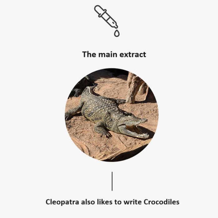 [FARM STAY] Crocodile Oil Cream 70g