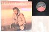 LP Record HOWARD HEWETT - Forever And Ever 607791 ELEKTRA 1988 US Soul/Funk Used