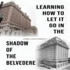 Learning How To Let It Go In the Shadow of the Belvedere by James... 9781649799005