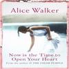 Now Is the Time To Open Your Heart by Alice Walker Paperback Book 9780753819579