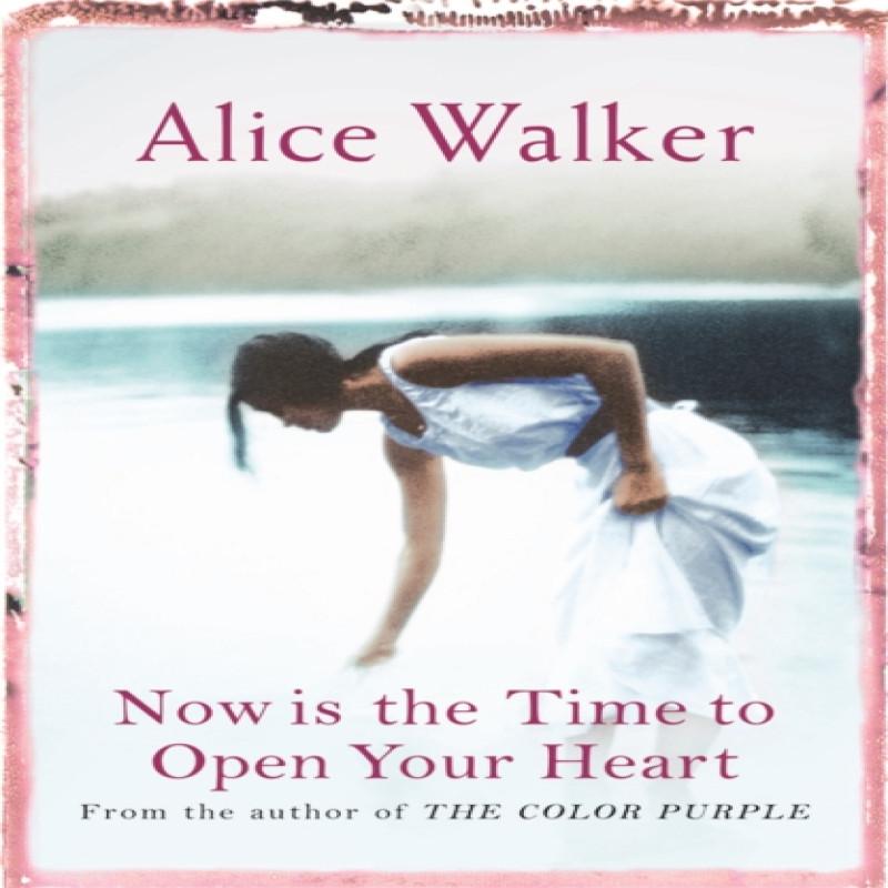 Now is the Time to Open Your Heart by Alice Walker Paperback Book 9780753819579