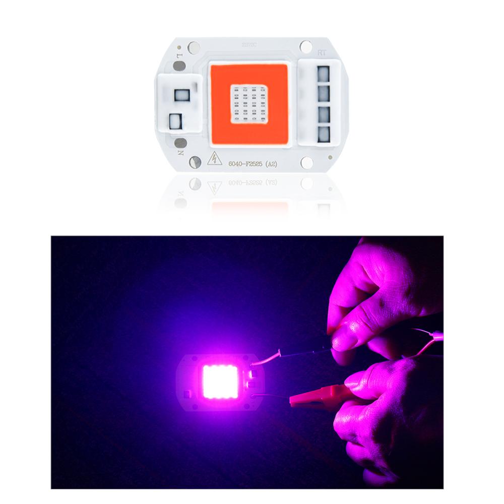 Red + Blue Plant Light Beads 20/30/50W Full Spectrum Plant Growth COB LED Grow Light Chips Greenhouse Tent Growing 110/220V