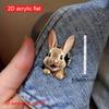 2D Süßer Hase Acryl Brosche Kleidung Accessoire Herren Damen Anzug Pin Geschenk Für Freunde