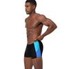 Speedo Mens Dive Aquashort Colour Block Jammer Shorts