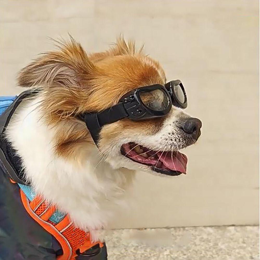 Adjustable Pet Goggles UV Protection Dog Motorcycle Glasses Portable Pet Headwear  Cat Dog
