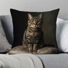 1PC Realistic Tabby Cat Pillowcase Single-Sided Printed Cat Sitting on Pillow for Home And Office Decor