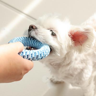 Puppy O-Ring Dental Floss Toy M, Candy (Sky), 1 Piece