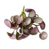 Soft Glue Artificial Plant Green Plants Wall Faux Copper Coin Grass Home Office Wall Hanging Succulent Plants Leaves Home Office