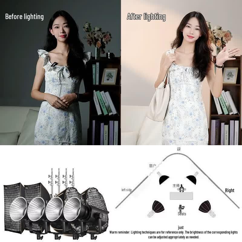 MyoToo CL300B 300W Bi-color Spherical Fill Light