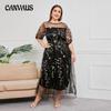 Summer Women's Dress Plus Size Gowns Mesh Embroidery Banquet Party Long Dresses