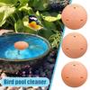 Piatto Purificatore per Vasca Uccelli in Rame da 10cm Pulitore Acqua Piatto Rotondo per Vasche Uccelli da Esterno e Fontane da Giardino