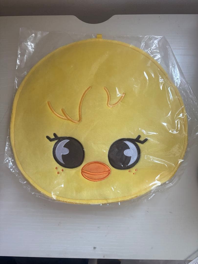 [USED] Felix Pogari Fan Cover Fan Case Stray Kids SKZOO