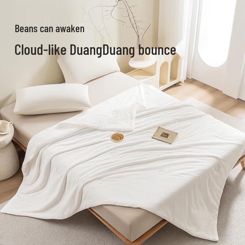 

Letsleep Class A Washed Cotton Soybean Fiber Summer Quilt