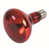 Infrared Spot Lamp - Trixie - 95 × 130 Mm - 150 W - Red - Reptile