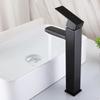 TLXT 304 Stainless Steel Black Square Bathroom Faucet