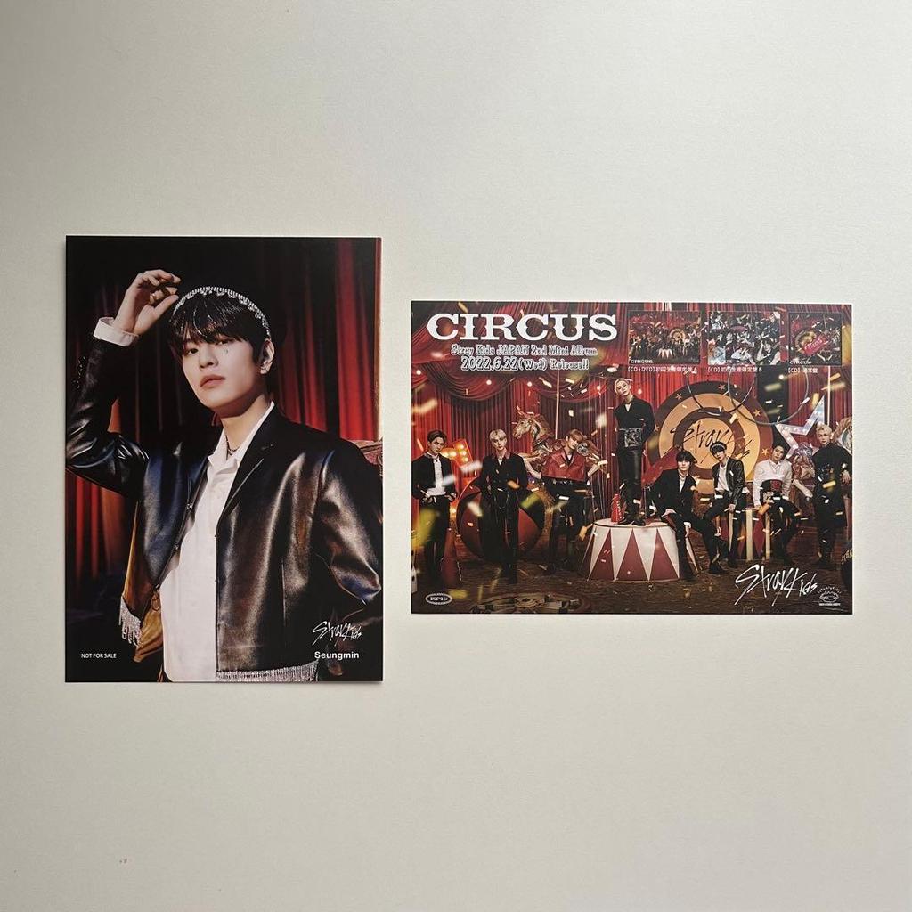[USED] StrayKids Seungmin flyer