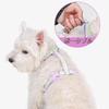 DICOCO Dog Harness for Small Go Through the Reduces Adjustable Come Easy to Put On and Take For Walking Easy to Put On and Take Easy to Perfect for