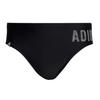 Mens Regular Swimming Trunks