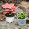 Self-Watering Plastic Flower Pot
