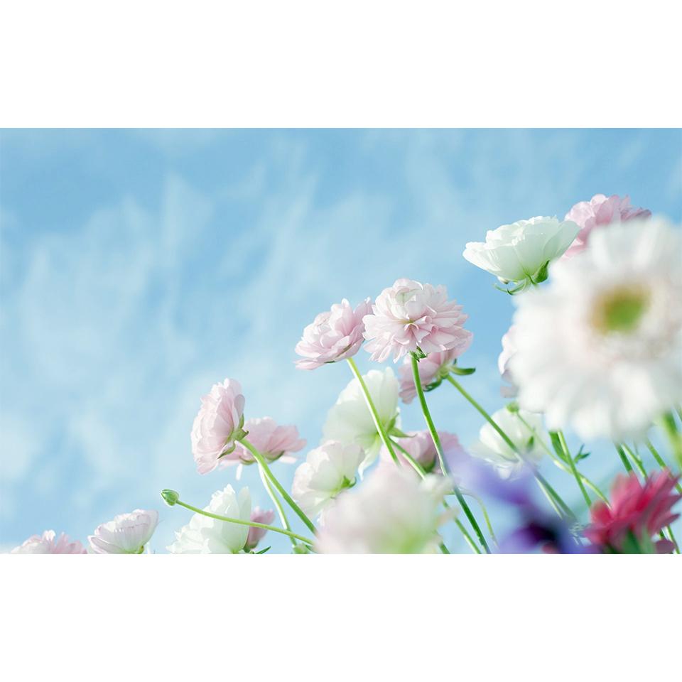 5D DIY Flowers Diamond Painting Rhinestone Landscape Picture Full Diamond Embroidery Mosaic Home Decor Gift Cross Stitch Kit