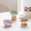 Cat Tilted Ceramic Bowl Small Dogs Elevated Food Water Feeders Pet Drinking Eating Supplies with Wooden Stand