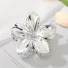 Acrylic Frangipani Flower Hair Claws Hair Accessories Hairpin Sweet Hair Gripper  Daily