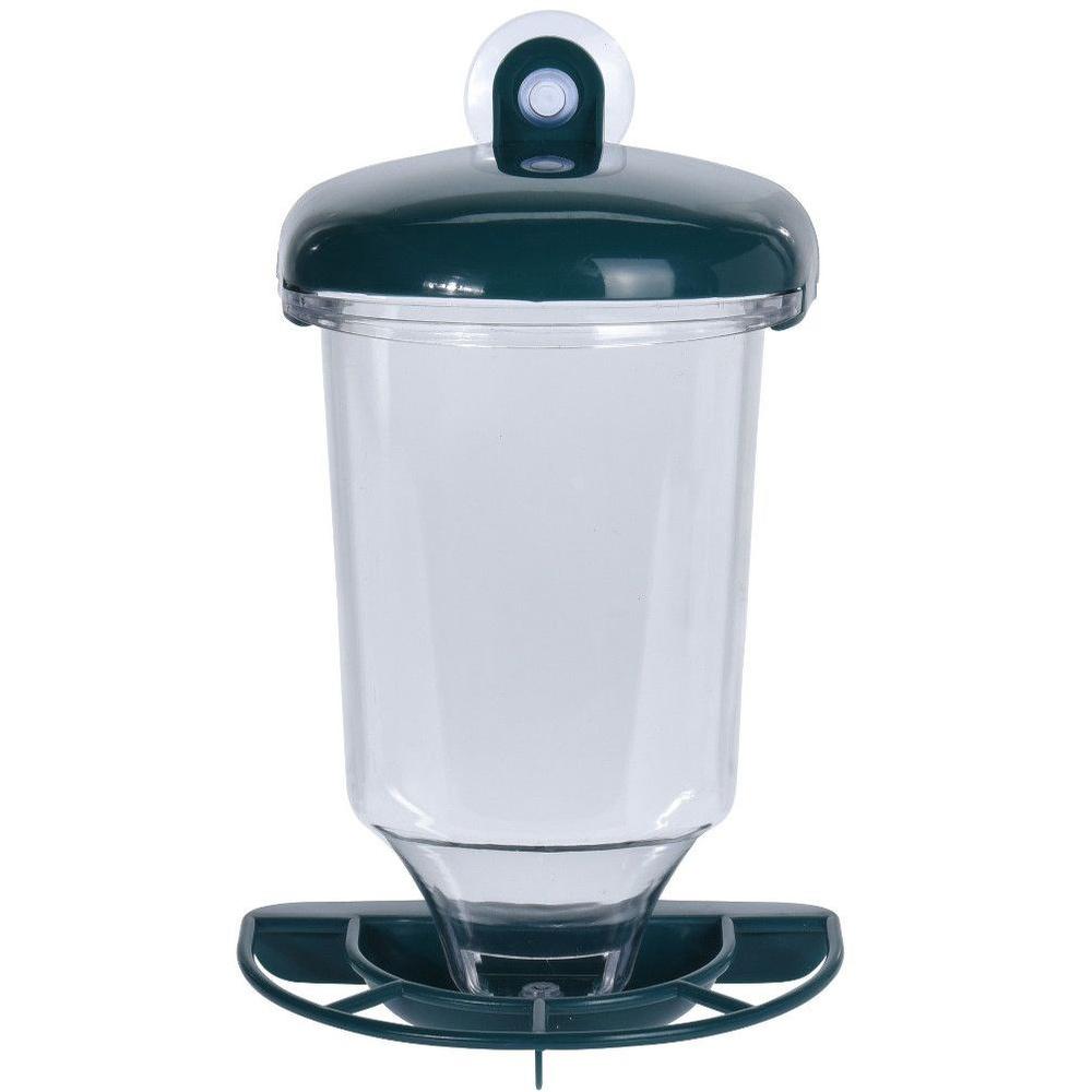 ProGarden Green Plastic Window-Mounted Bird Feeder with Suction Cup and Perch 23 cm